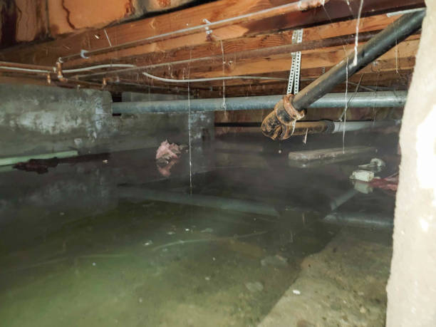 Best Water damage cleanup near me  in Oak Valley, NJ