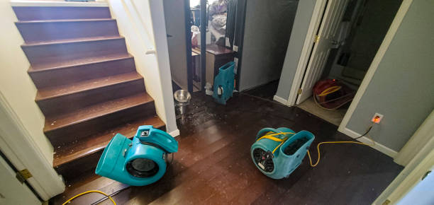 Best Water damage contractors near me  in Oak Valley, NJ