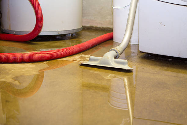 Best Water damage restoration mold remediation  in Oak Valley, NJ