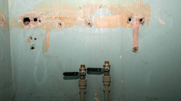 Best Water damage restoration services  in Oak Valley, NJ