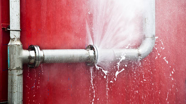 Best Basement water damage restoration  in Oak Valley, NJ